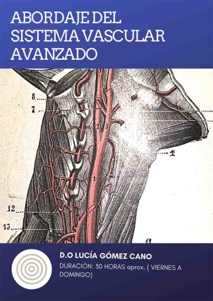 abordaje del sistema vascular avanzado