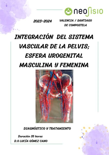 Integración del sistema vascular de la pelvis - Esfera urogenital femenina y masculina