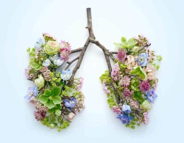 modelo pulmones hecho con flores ramas